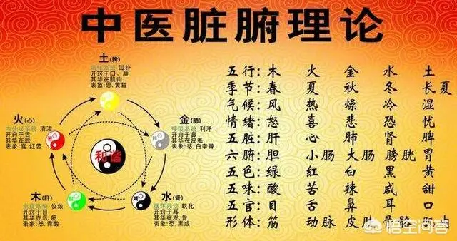 为什么说“医易同源”？