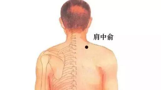 倪海厦：针灸之肩外俞与肩中俞，颈椎肩周疼近取穴一针灵