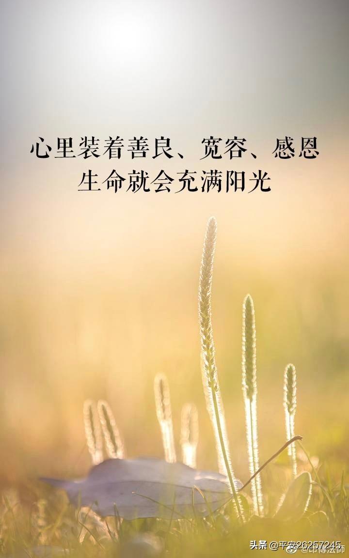 心真 则大地皆清净 心善 则行事皆顺畅 心美 则众生皆可爱 心诚 则天下皆平坦 懂车帝