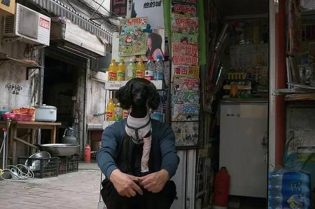 拍照关键在于时机和角度，在于电光火石的灵感