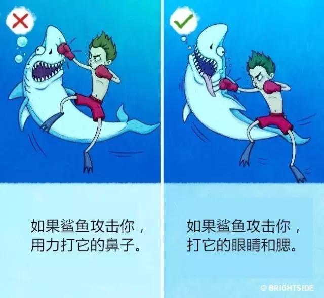 流传的9个野外求生技能可能会把你害惨