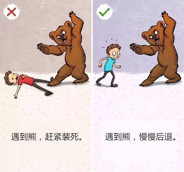 流传的9个野外求生技能可能会把你害惨