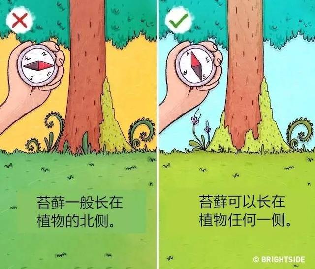 流传的9个野外求生技能可能会把你害惨