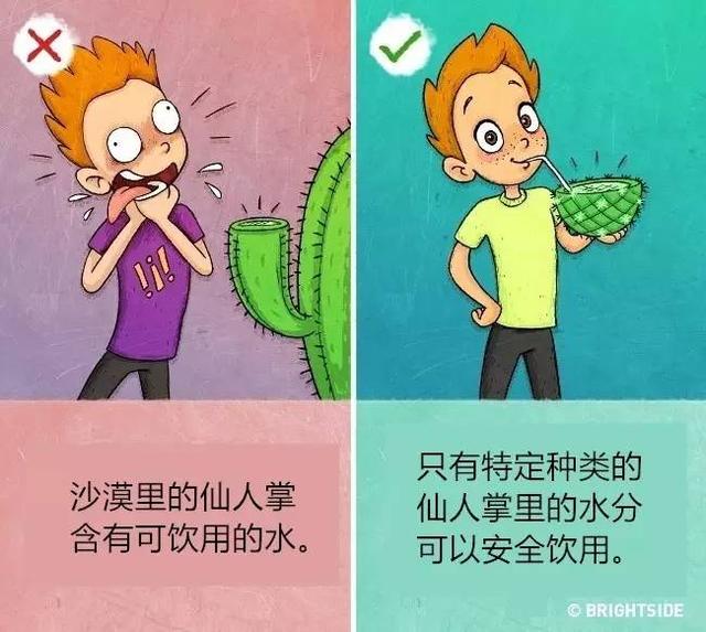 流传的9个野外求生技能可能会把你害惨