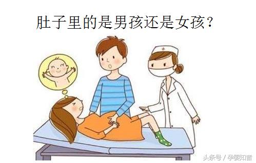 周公解梦分类(周公解梦分类生男生女推算)插图