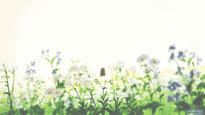 早安美图：花开成海，陪你去看尽世界的绚烂可好？
