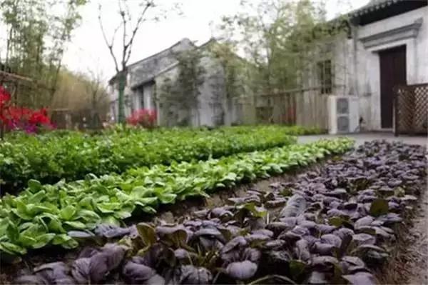 早安美图160202：农村风景独好，你敢说你不想去？