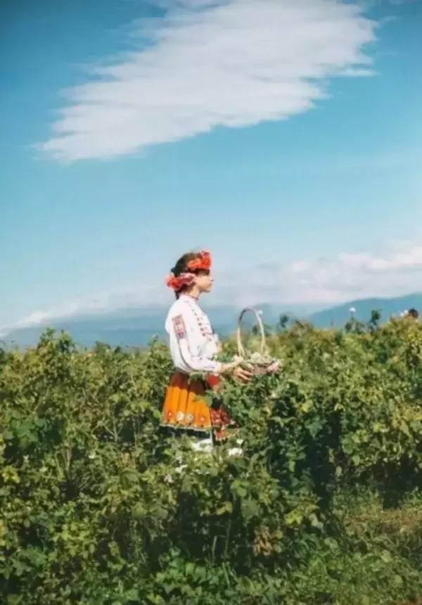 早安美图：花开成海，陪你去看尽世界的绚烂可好？