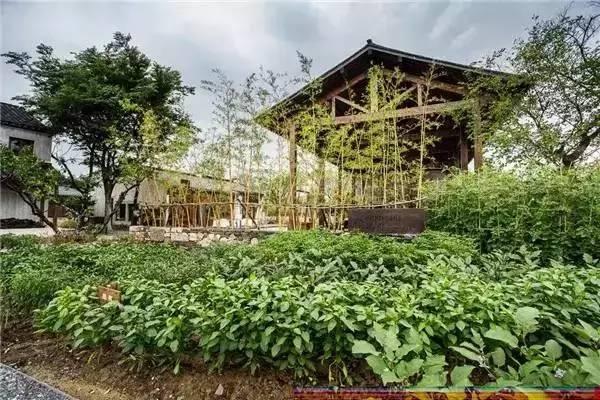 早安美图160202：农村风景独好，你敢说你不想去？