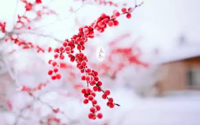 立冬吉祥的话