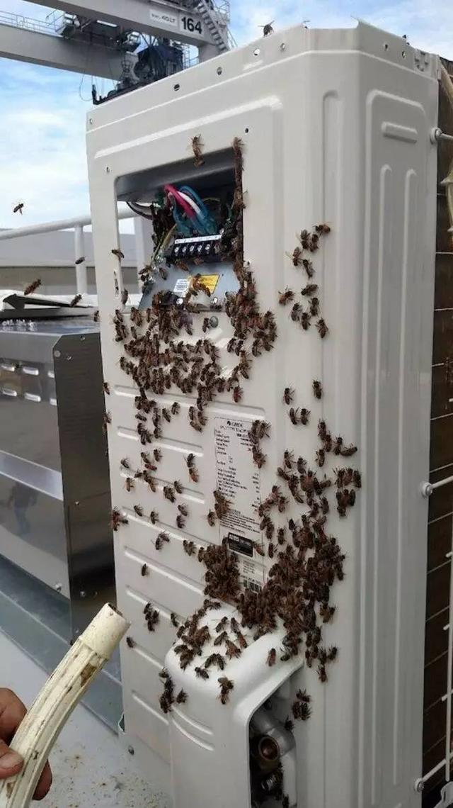 简直无法直视的25张图片，我勒个擦！