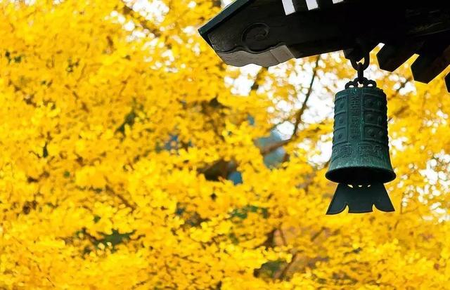 早安美图161110：把困苦活出诗意，把薄情活出深情