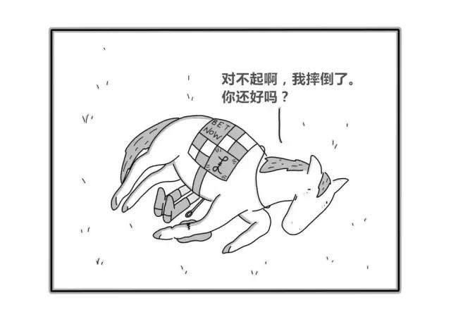 15幅让人又哭又笑的漫画,喜剧的最高境界就是悲剧