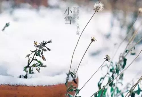 关于小雪节气的祝福图片吉祥语