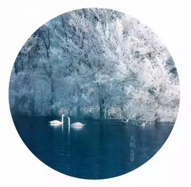 晚安美图161129：原谅是一种溶剂，一种润滑油