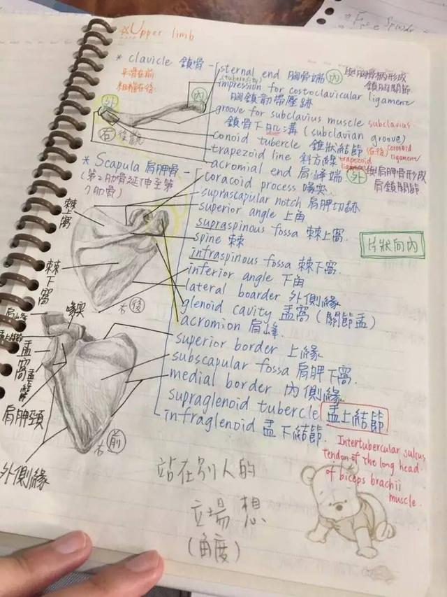 我的同学是解剖大师