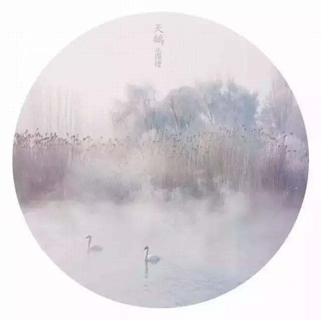 晚安美图161129：原谅是一种溶剂，一种润滑油