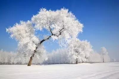 小雪节气温暖的祝福和问候语句