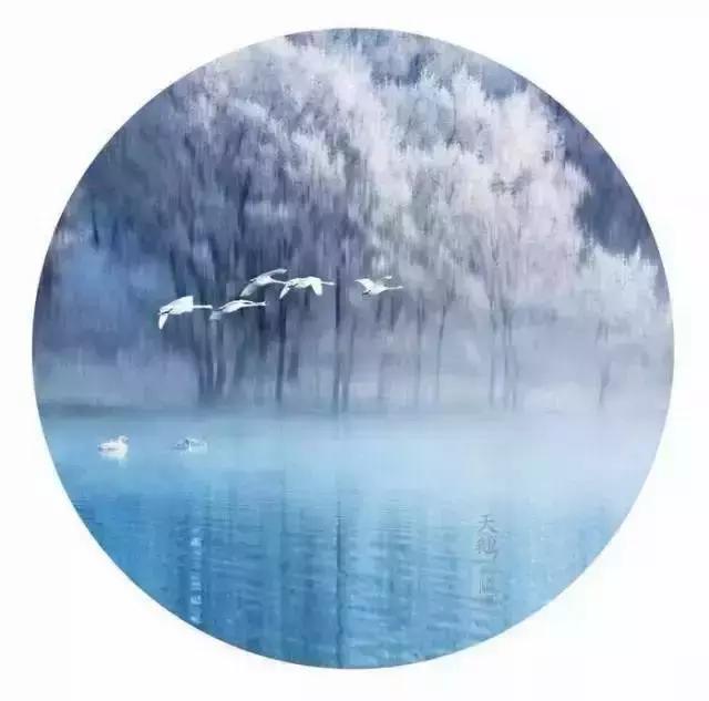 晚安美图161129：原谅是一种溶剂，一种润滑油