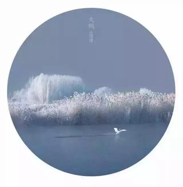 晚安美图161129：原谅是一种溶剂，一种润滑油