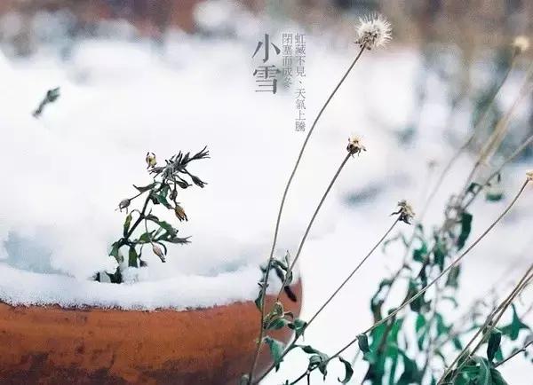 小雪节气温暖的祝福和问候语句