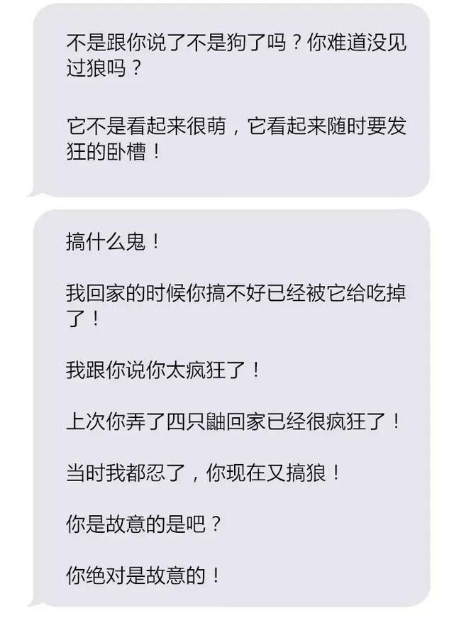 老婆把狼带回家，丈夫情绪很激动