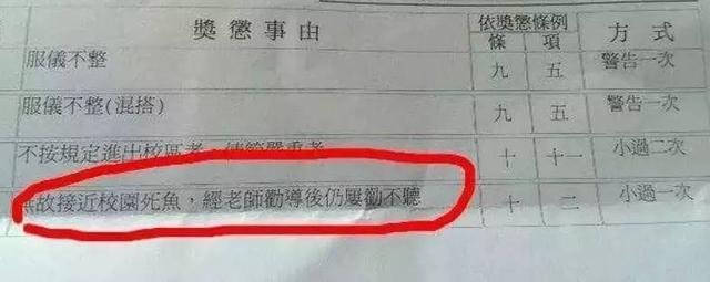 被学校处罚的理由，一个更比一个奇葩