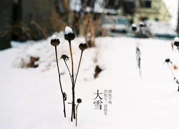 大雪节日发给朋友的最美祝福祝语