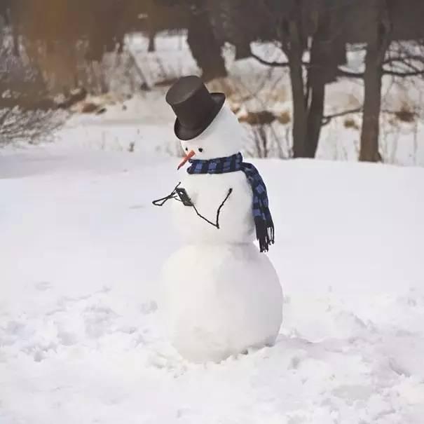 堆雪人的图片看过立马奉上膝盖，默默放下手里雪