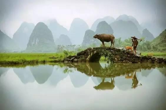 晚安美图161221：愿时光能缓，愿故人不散！