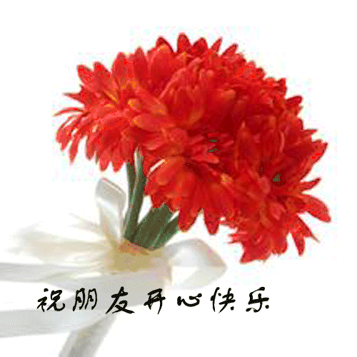 冬至最美的图文祝福送给朋友