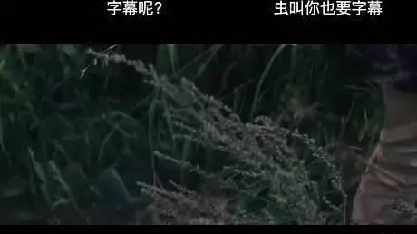 搞笑弹幕简直太犯规！没有弹幕怎么快乐地看剧！