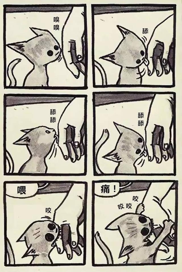 惊悚漫画：家里有喵星人，你的生活顿时大不同