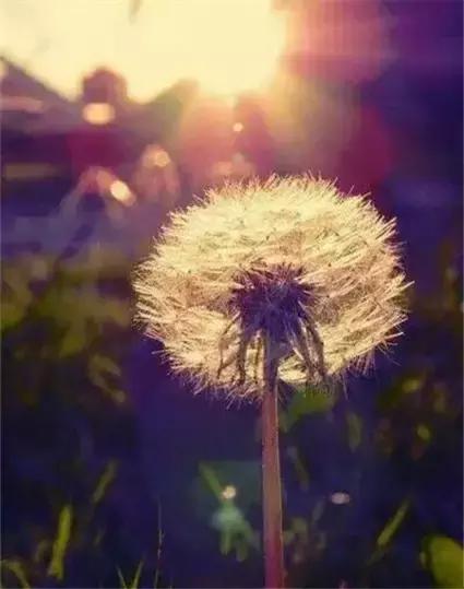 晚安美图170108：换个角度，世界就是另外的样子