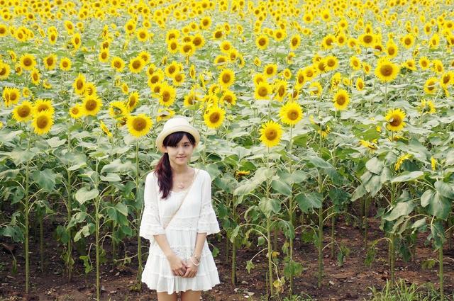 晚安美图170110：泪如果有人疼，心如果有人懂