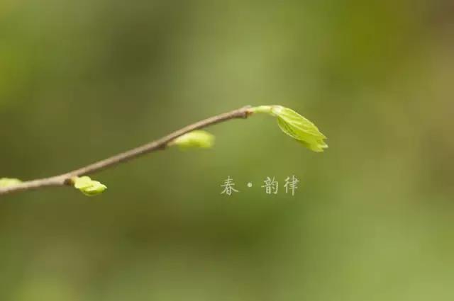 立春节气吉祥的话吉祥的语句