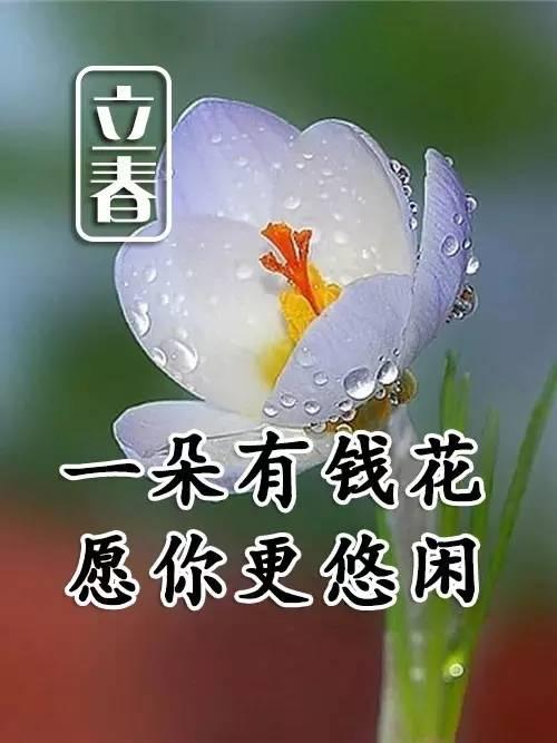 立春带文字的图片祝福