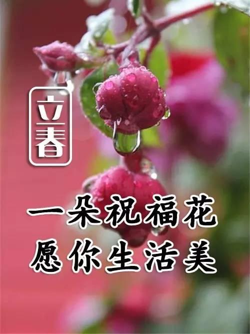 立春带文字的图片祝福