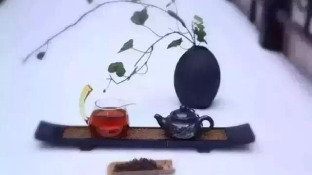 晚安美图170206：忍能养福，喜能养颜，爱能养行