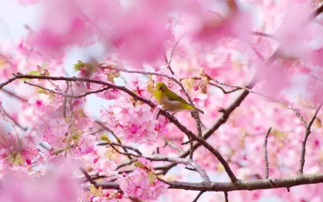 晚安美图170209：有的人，你真的不必在意