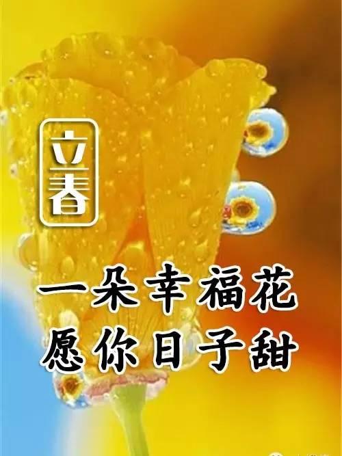 立春带文字的图片祝福
