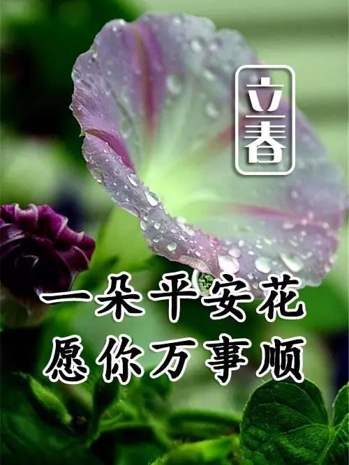 立春带文字的图片祝福