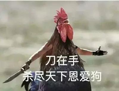 鸡鸡鸡去战斗吧!
