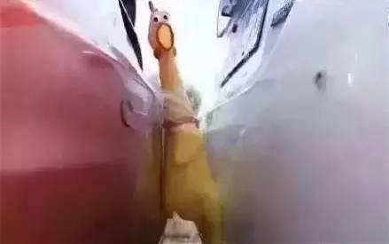 鸡鸡鸡去战斗吧!