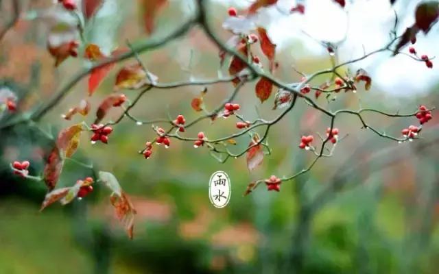 雨水节气的精美图片祝福文字