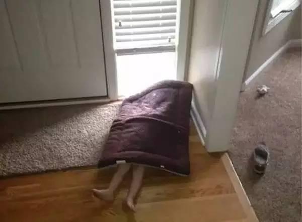 他们这样玩藏猫猫，大王感觉智商不够用了