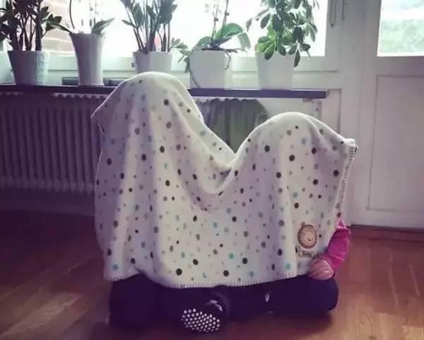 他们这样玩藏猫猫，大王感觉智商不够用了