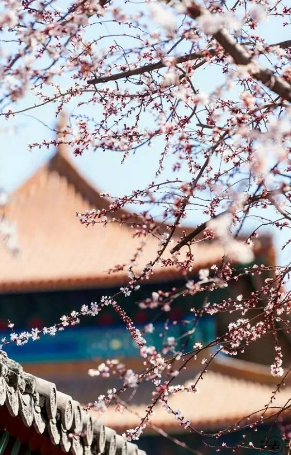 早安美图170316：心安，是最美好状态