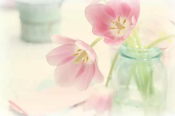 晚安美图170317：10句话送给晚上睡不着的你