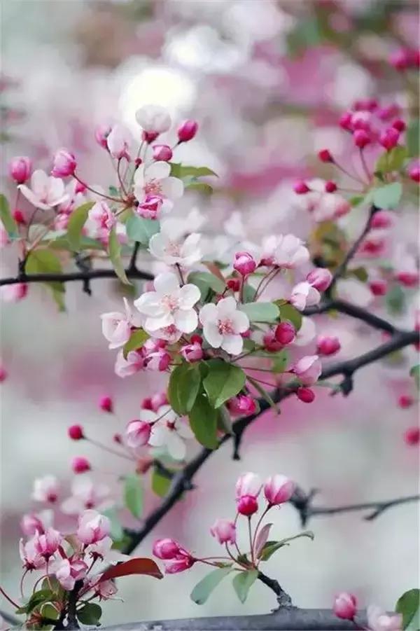 晚安美图170321：所有遇见，都是一场命中注定